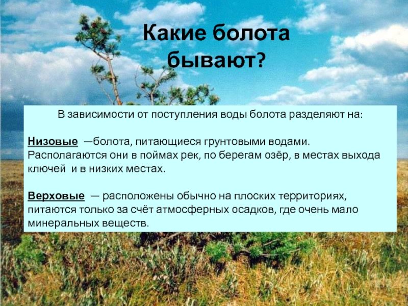 Виды болот. Какие бывают болота. Характеристика болота. Краткая характеристика болота. Характеристика верховых болот.