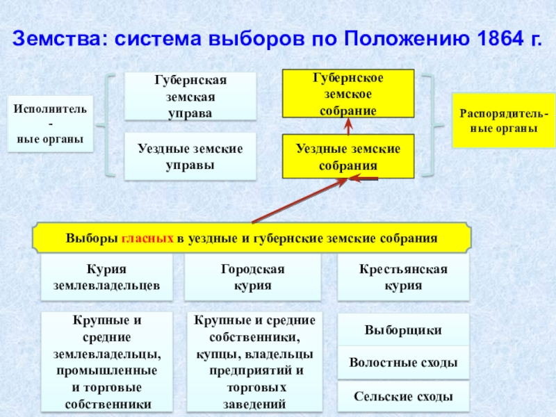 Курия в выборах