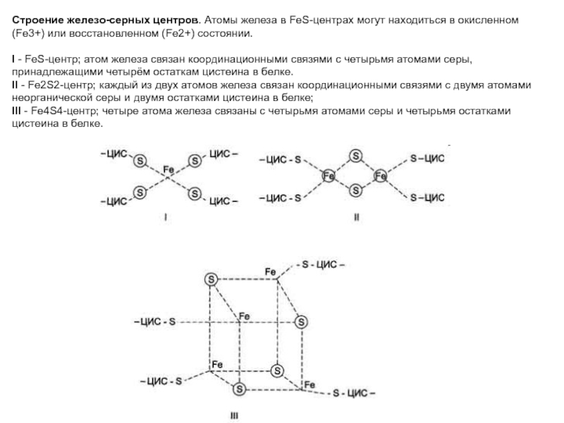 Схема строения fe 3