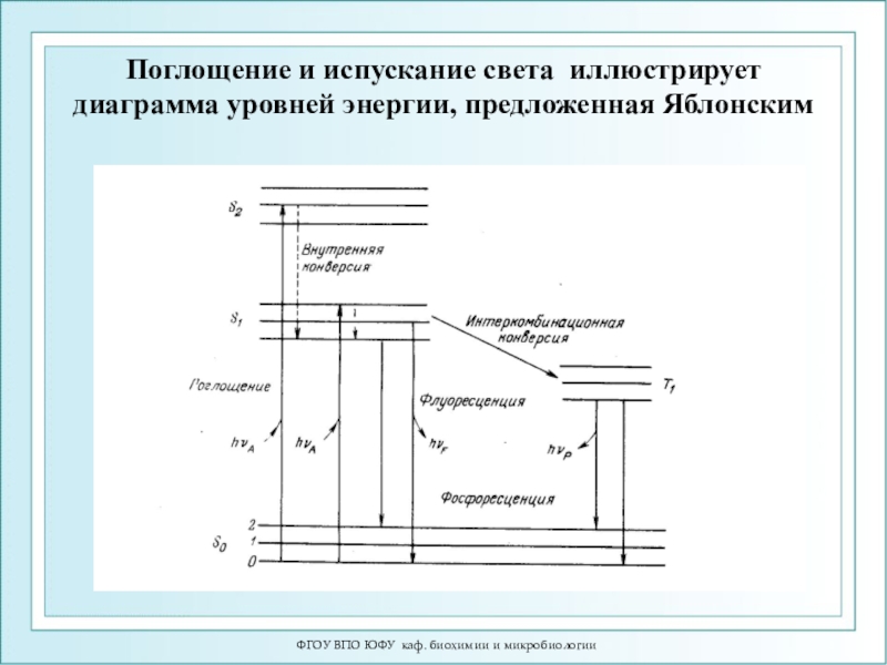 Определение испускания и поглощения света атомами изобразить схемы