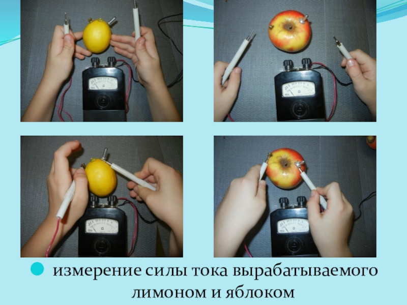 Презентация съедобные батарейки. Батарейка из овощей и фруктов. Источник тока из фруктов и овощей. Электричество из овощей и фруктов. Измерение электричества в овощах и фруктах.