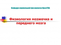 Мозжечок, передний мозг.ppt