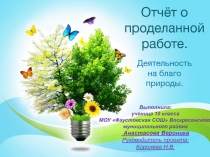 Отчёт о проделанной работе