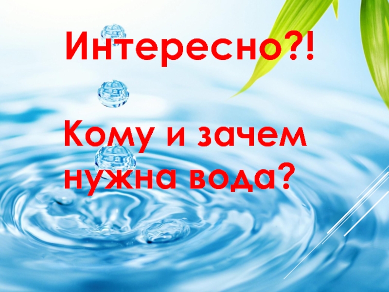 Зачем нужна вода