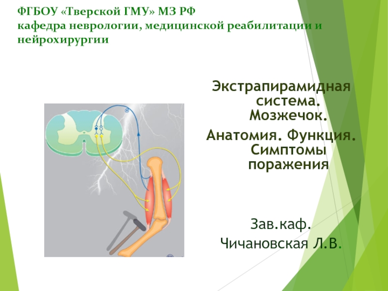 ФГБОУ Тверской ГМУ МЗ РФ кафедра неврологии, медицинской реабилитации и