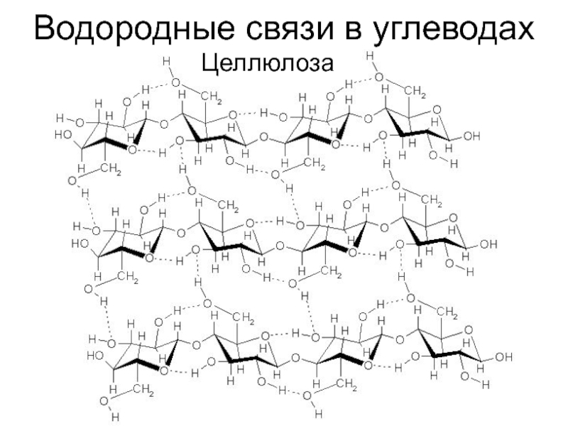 Целлюлоза связи. Целлюлоза структура формула. Целлюлоза водородные связи. Целлюлоза строение молекулы. Линейное строение целлюлозы.