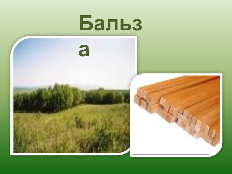 Погода бальзой забайкальский край. Бальза древесина. Село бальзой. Бальза древесина фото. Бальзой Забайкальский край.