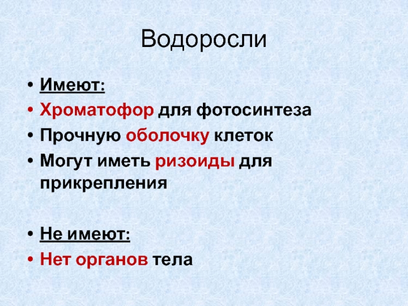 Хроматофор имеют