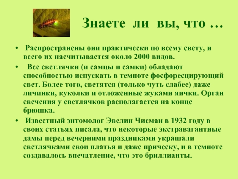 Они практически. Светлячок доклад 3 класс. Информация о светлячках для 3 класса. Интересные факты о светлячках для детей. Проект Светлячок.