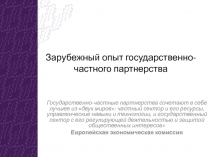 Зарубежный опыт государственно-частного партнерства