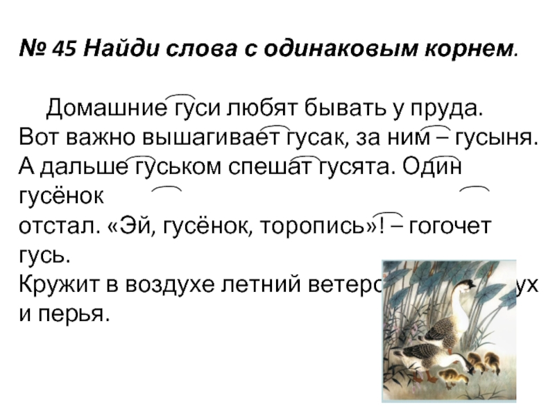 Одинаковый корень. Текст с однокоренными словами. Текст с однокоренными словами 2 класс. Предложения с однокоренными словами для 2 класса. Слова с одинаковым корнем.