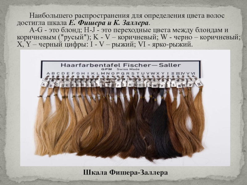 Наибольшего распространения для определения цвета волос достигла шкала Е. Фишера и К. Заллера.	A-G - это блонд; H-J