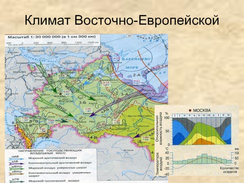 Восточно европейская равнина кратко 8 класс