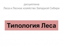 Типология Леса