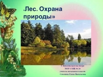 Лес. Охрана природы