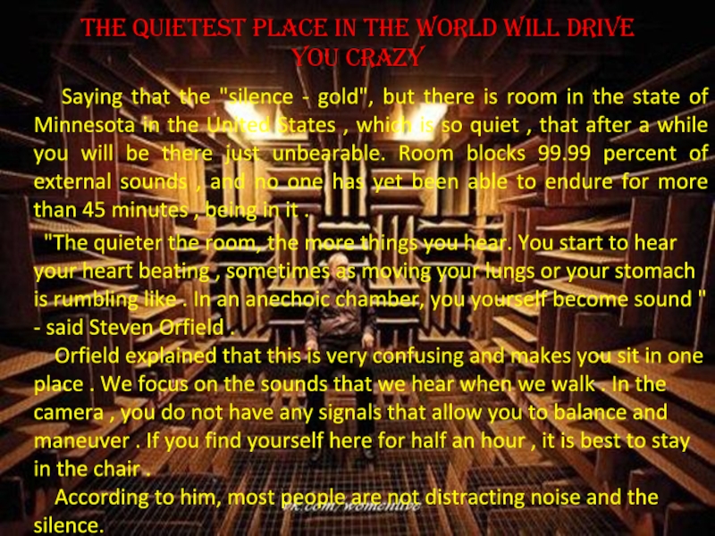 The quietest place in the world will drive you crazy    Saying that the 