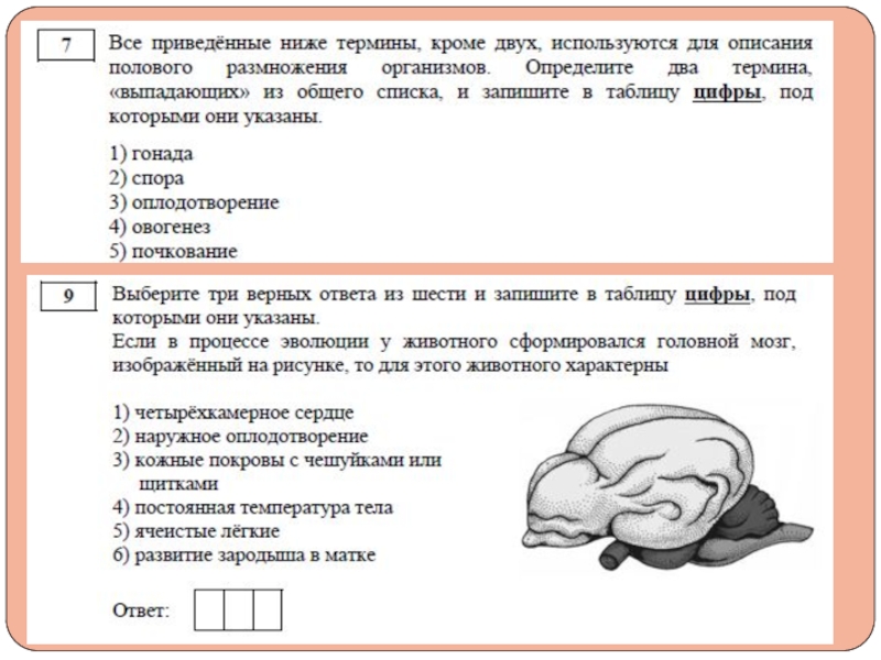 Все приведенные ниже термины кроме двух. Все приведённые ниже термины кроме двух используются для описания. Определите два термина выпадающих из общего списка. Приведённые ниже характеристики кроме двух используют для описания.