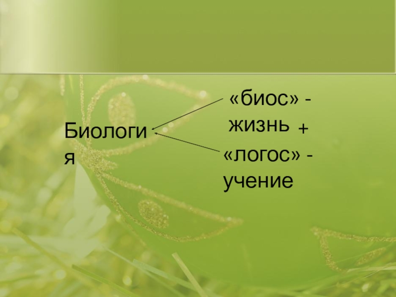 Смог презентация по биологии