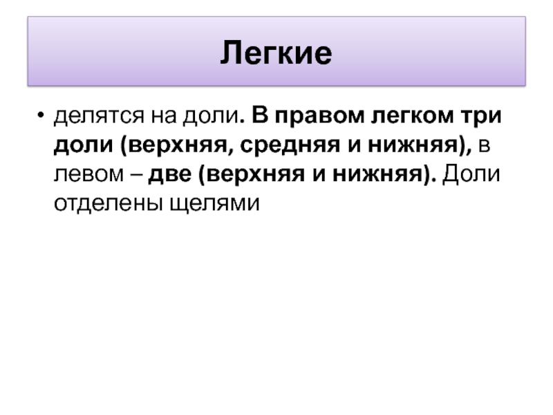 Доли правого легкого. Право легкое имеет. Право легкое имеет. Право это совокупность. Право легкое имеет.