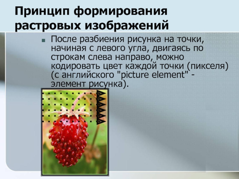 Как с помощью пространственной дискретизации происходит формирование растрового изображения