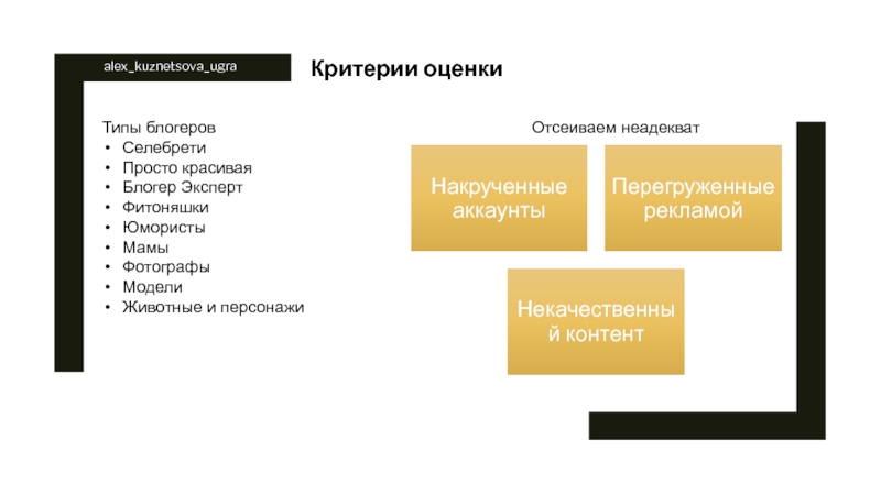 Типы блогеров