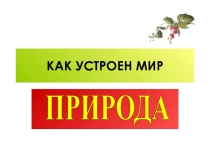 Как устроен мир