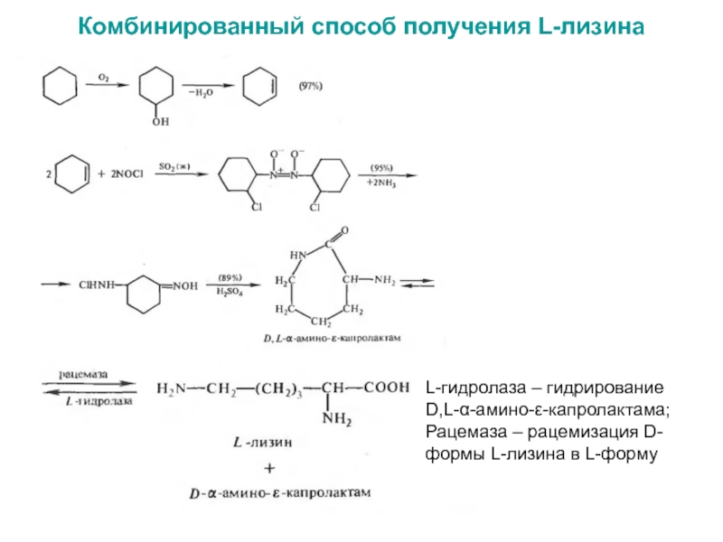 Технологическая схема производства лизина