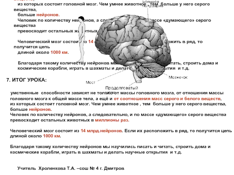 Как работает мозг книга