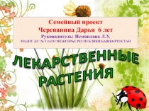 Семейный проект Черепанина Дарья 6 лет Руководитель : Исмаилова Л.У.
МАДОУ Д/С