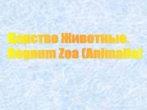 Царство животные