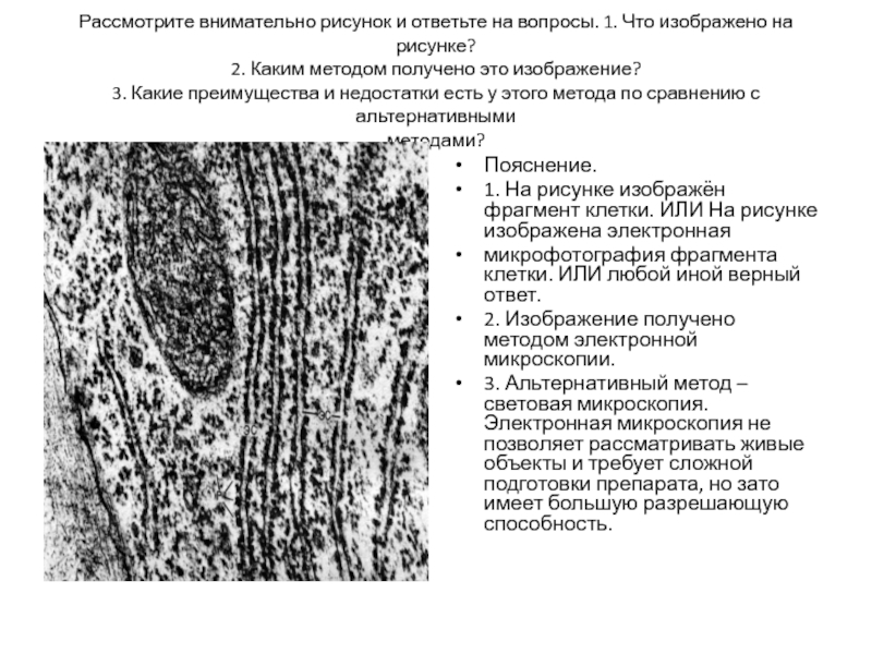 Рассмотрите внимательно рисунок и ответьте на вопросы что изображено на рисунке каким методом