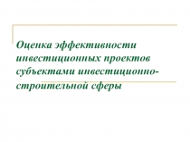 Оценка эффективности инвестиционных проектов субъектами инвестиционно-строительной сферы