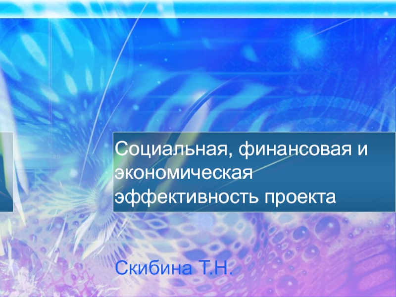 Социальная, финансовая и экономическая эффективность проекта Скибина Т.Н