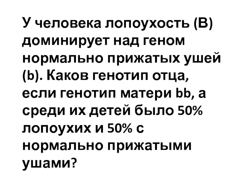 У человека лопоухость (В) доминирует над геном нормально прижатых ушей (b)