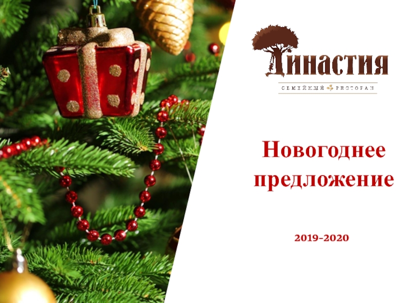 Новогоднее
предложение
2019 -2020