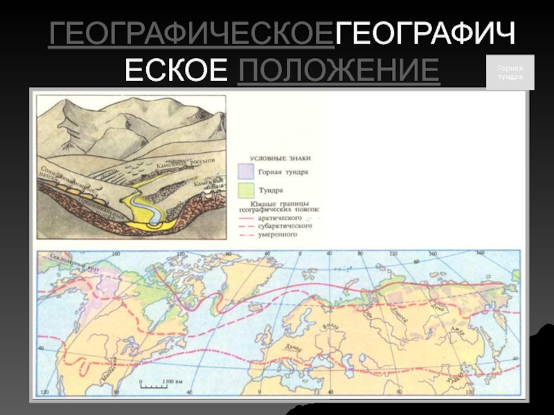 Зона тундр располагается на севере россии. Тундра на карте. Географическое положение тундры на карте. Горная тундра на карте. Тундра на карте России.