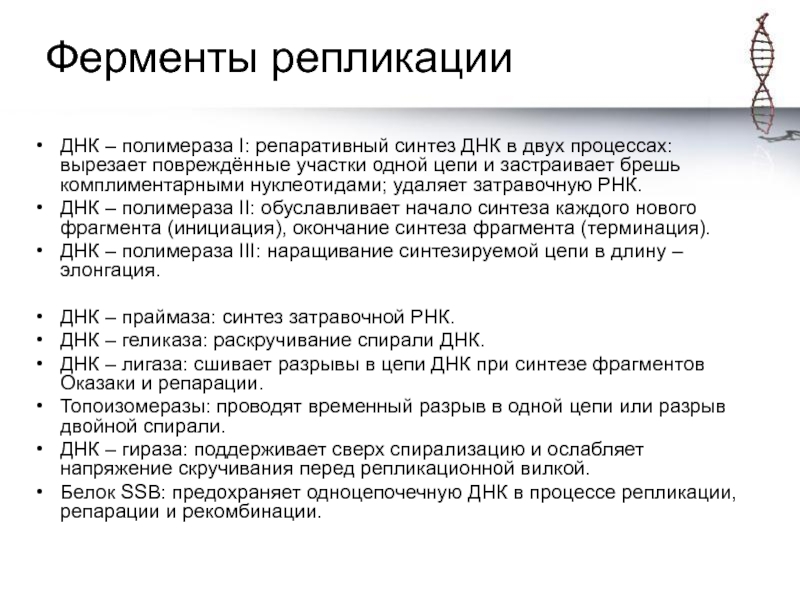 Ферменты днк. Ферменты участвующие в процессе репликации ДНК. Ферменты репликации ДНК И их функции. Ферменты, участвующие в процессе репликации:. Ферменты репликации и их функции.