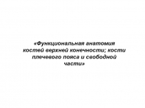 Функциональная анатомия костей верхней конечности; кости плечевого пояса и