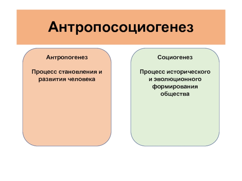 Процесс становления общества. Человек как личность в системе социогенеза. Личность в социогенезе психология. Отличие социогенеза от антропогенеза. Антропосоциогенез природное и Общественное в человеке.