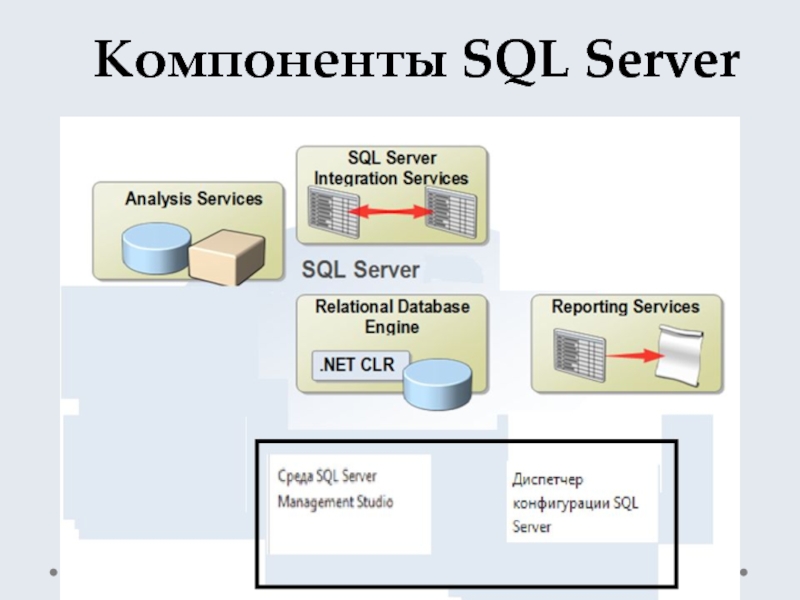 Sql задачи. Компоненты сервера. Компоненты SQL. Элементы SQL. Элементе SQL Server.