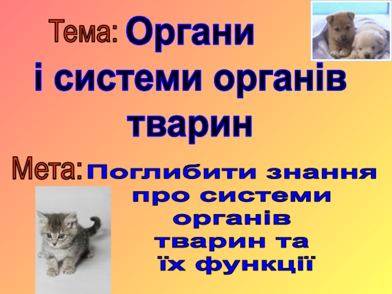 Органи
і системи органів
тварин
Поглибити знання
про системи
органів
тварин