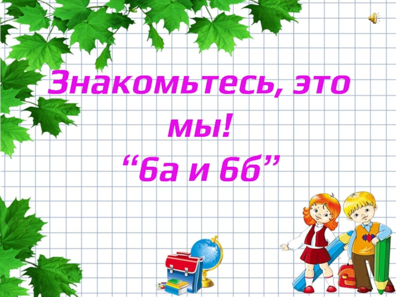 Знакомьтесь, это мы! “ 6а и 6б ”