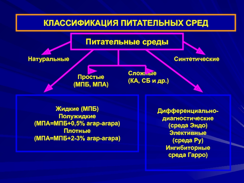 Питательные среды схема