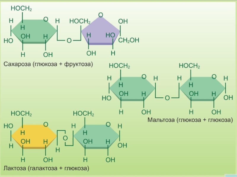 Фруктоза синтез. Глюкоза фруктоза сахароза формулы. Глюкоза лактоза мальтоза Целлюлоза. Углеводы Глюкоза, лактоза , фруктоза. Формула Глюкозы и сахарозы.