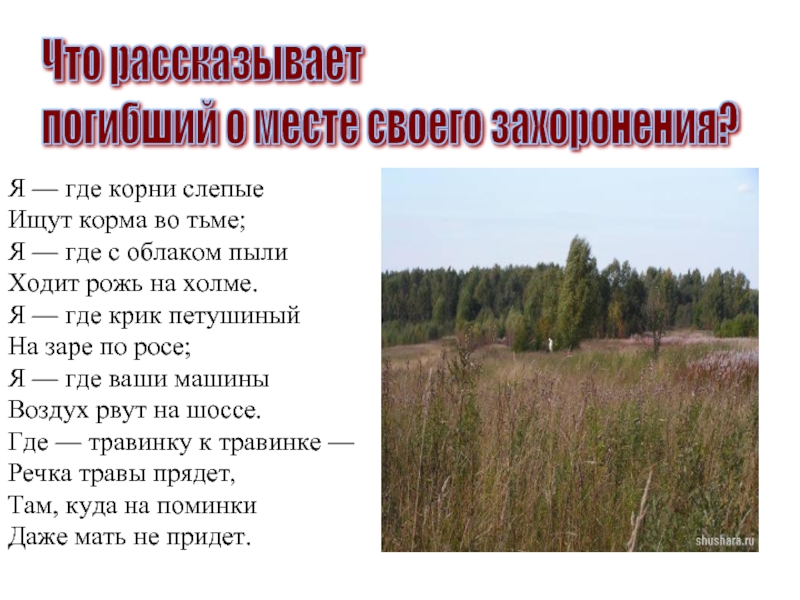 Что рассказывает погибший о месте своего захоронения?Я — где корни слепые Ищут корма во тьме;