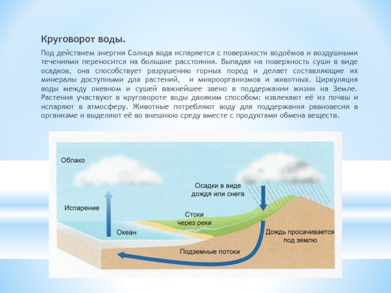 Испарение водоемов