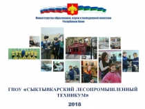 ГПОУ СЫКТЫВКАРСКИЙ ЛЕСОПРОМЫШЛЕННЫЙ ТЕХНИКУМ