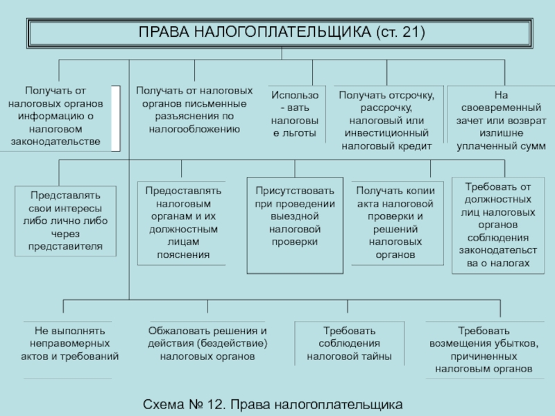 Права и обязанности налогоплательщиков схема