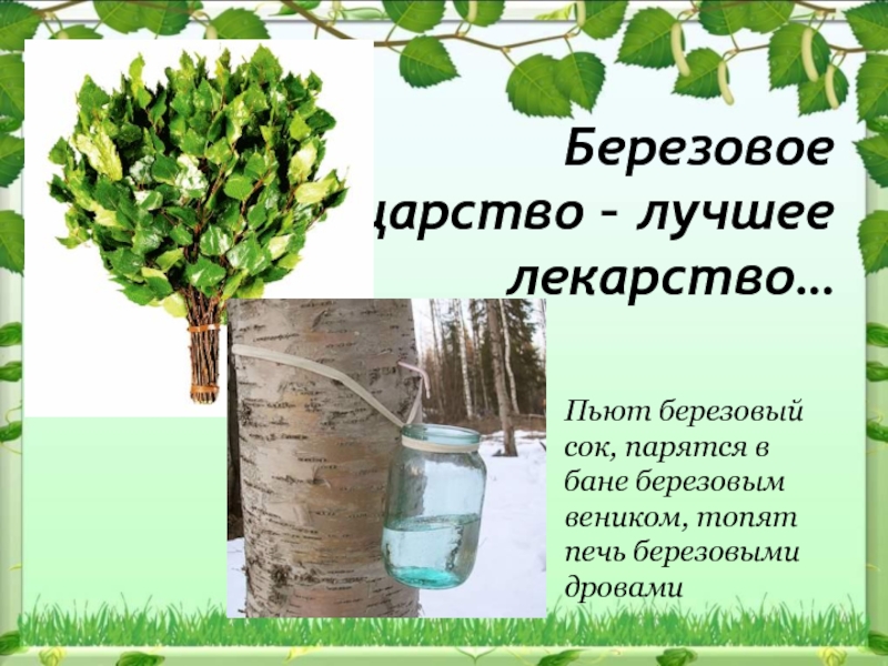 Как называли березовый веник на руси. Березовое царство лучшее лекарство. Берёзовый сок и веник. Береза царство. Берёза полезная.