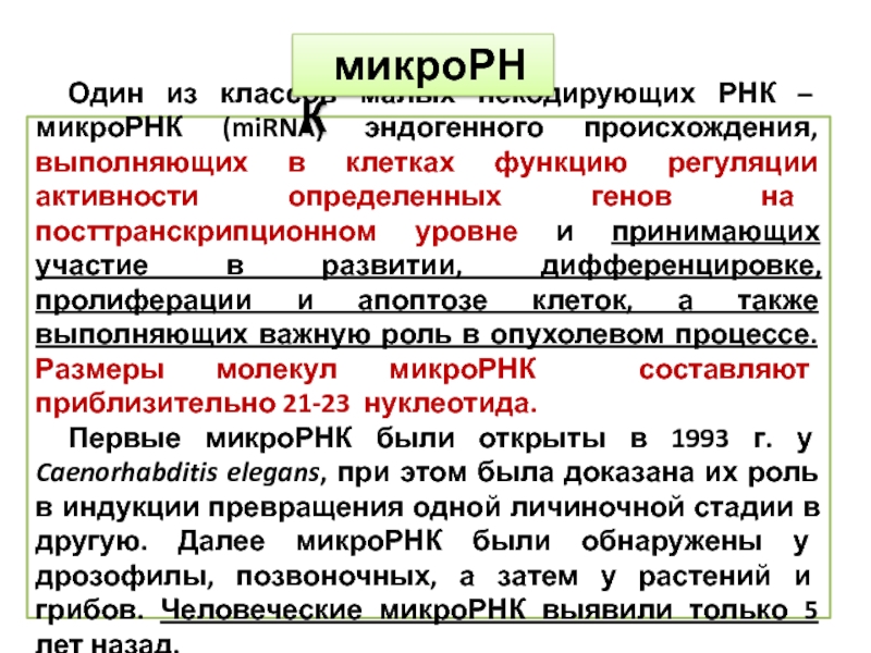 5 некодирующая область. Малая некодирующая РНК. Функции некодирующих РНК. Некодирующие РНК их функция. Активность некодирующих РНК.